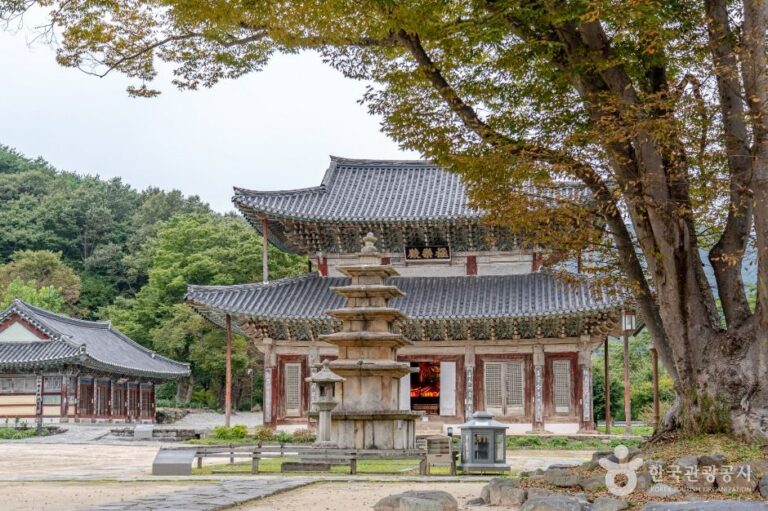 [충남] 무량사(부여)