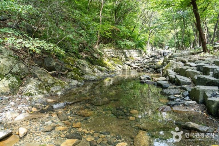 [충남] 화장골 계곡