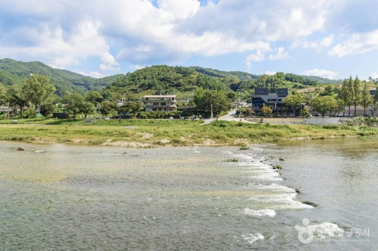 [충남] 기러기공원