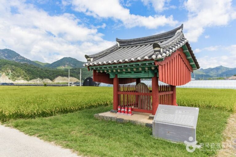 [충남] 금산 천내리 용호석