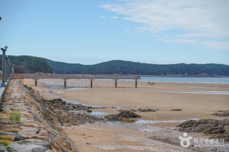 [충남] [태안 해변길] 1코스 바라길