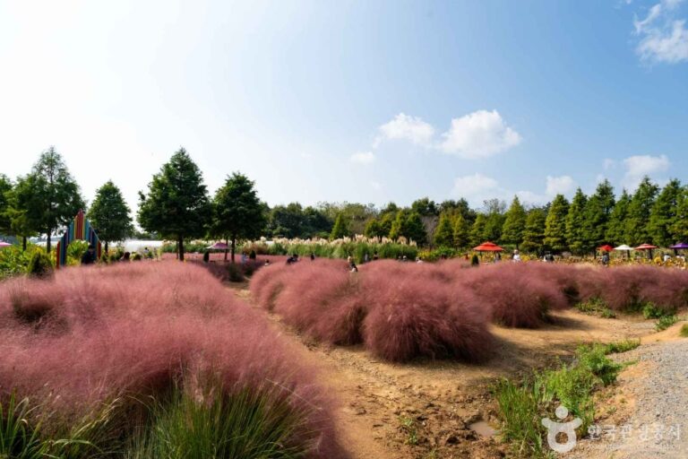 [충남] 청산수목원