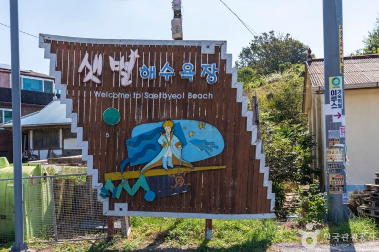 [충남] 샛별해수욕장