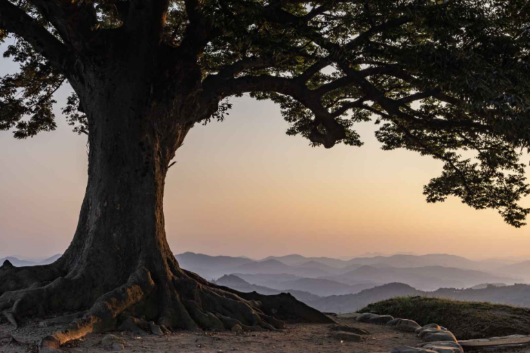 [충남] 부여 가림성