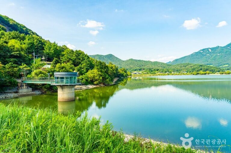 [충남] 양화저수지