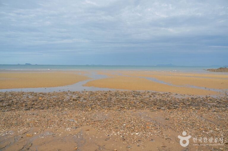[충남] 사목해수욕장
