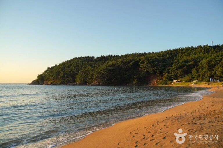 [충남] 백리포해수욕장