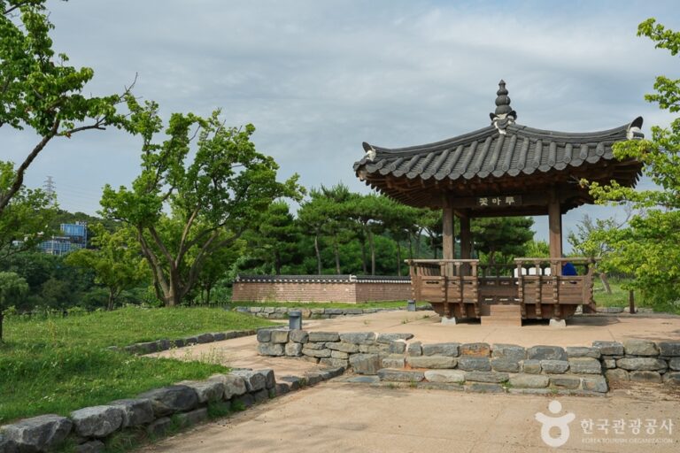 [인천] 경인아라뱃길 매화동산