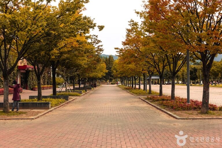 [대구] 율하체육공원