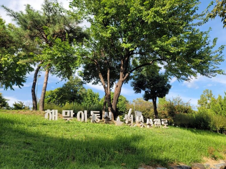 [대구] 해맞이공원(대구)