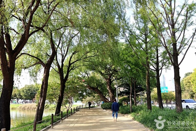 [대구] 수성못상화동산