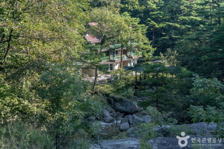 [강원] 국립대관령자연휴양림