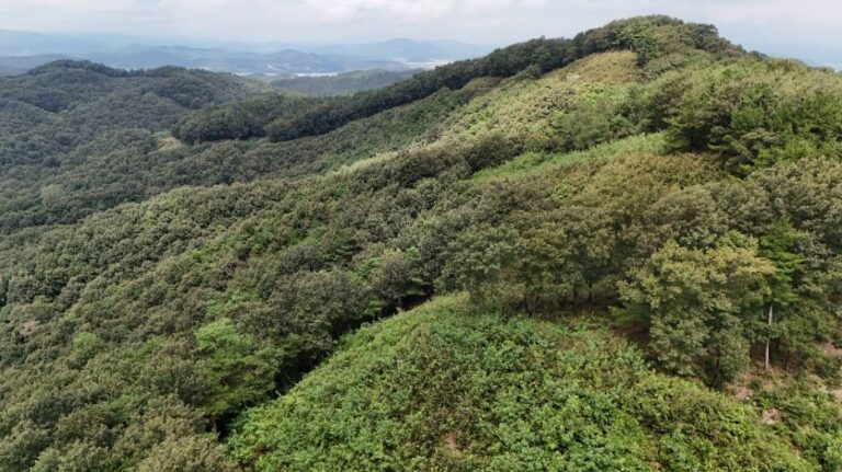 [충남] 부여 청마산성