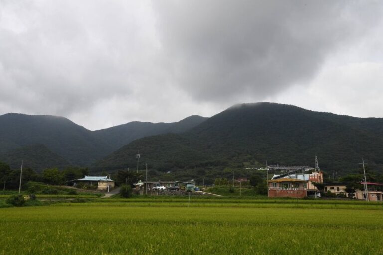 [충남] 아미산(부여)