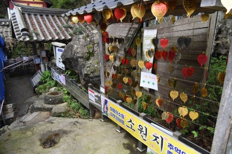 [충남] 고란약수