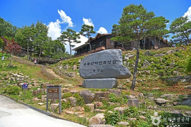 [충남] 용봉산자연휴양림