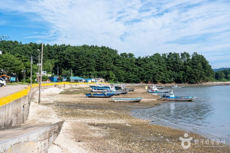 [충남] 왕산포구