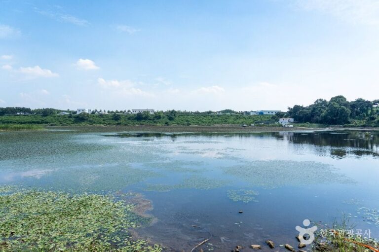[충남] 문방저수지
