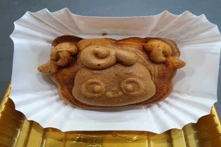 [충남] 청양의 봄, 청춘