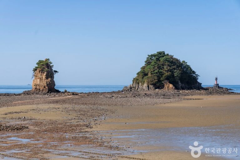 [충남] 꽃지해안공원