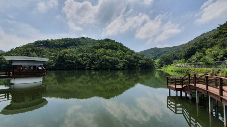 [충남] 금학생태공원