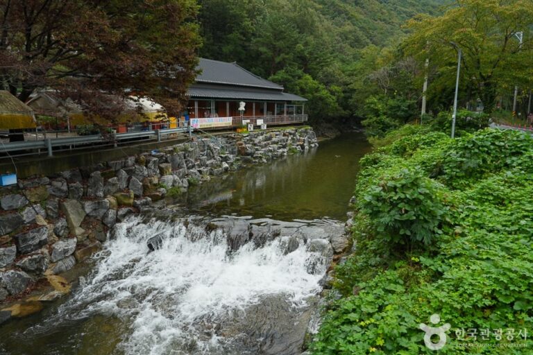 [충남] 용현계곡