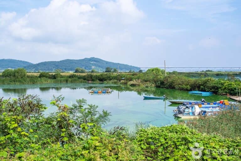 [충남] 쌀조개섬