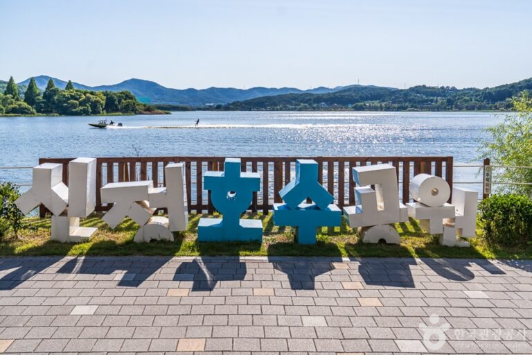 [충남] 신정호유원지