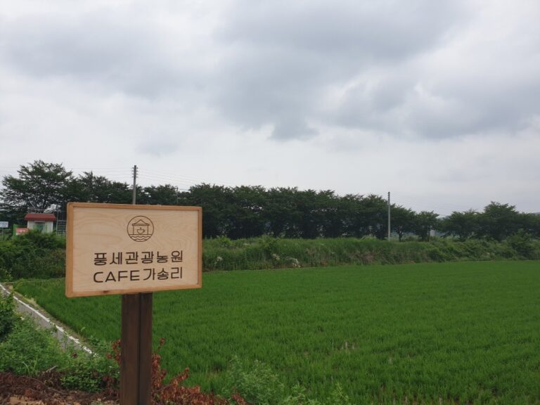 [충남] 풍세관광농원