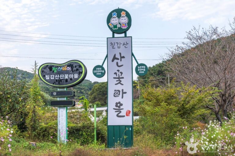 [충남] 칠갑산산꽃마을