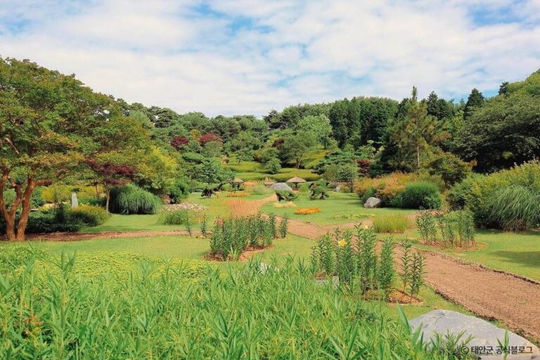 [충남] 안면도수목원