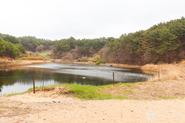 [충남] 두웅습지