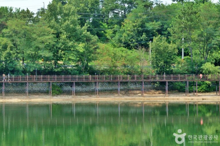 [충남] 탑정저수지