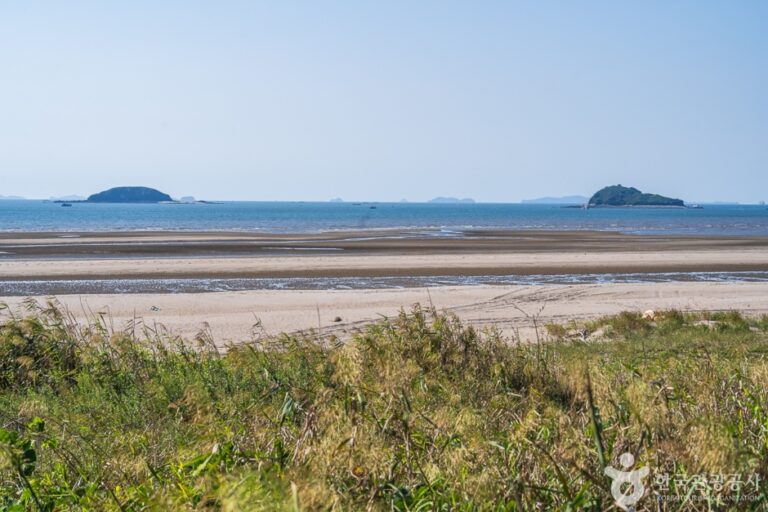 [충남] 장안해수욕장