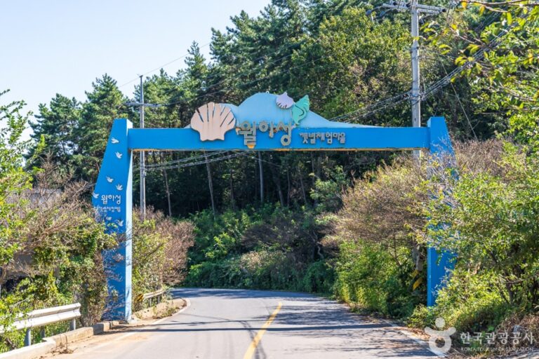 [충남] 월하성어촌체험마을