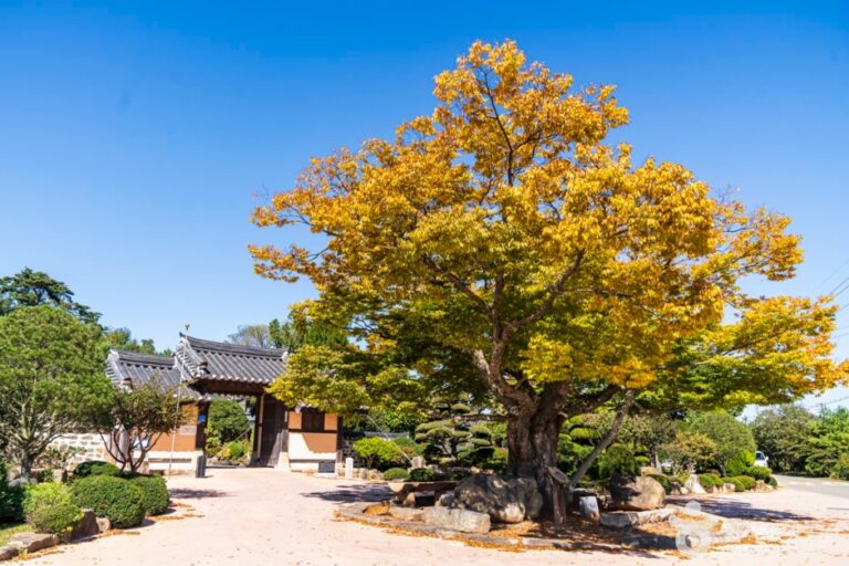 [충남] 정순왕후생가