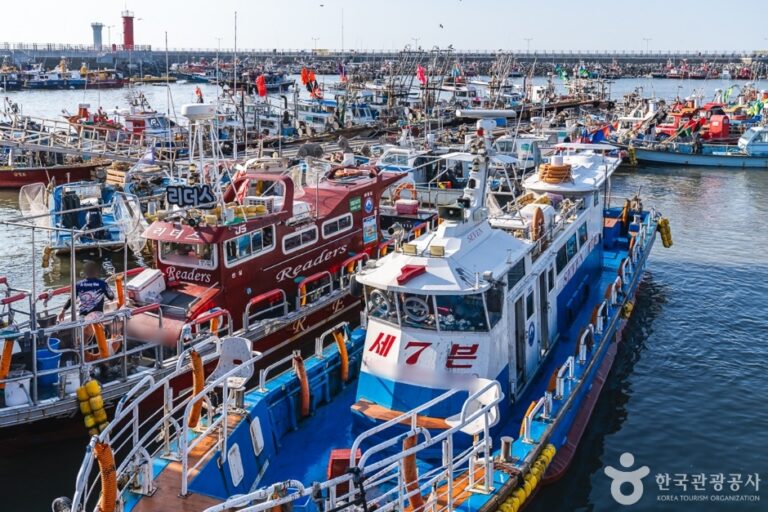 [충남] 무창포어촌체험마을