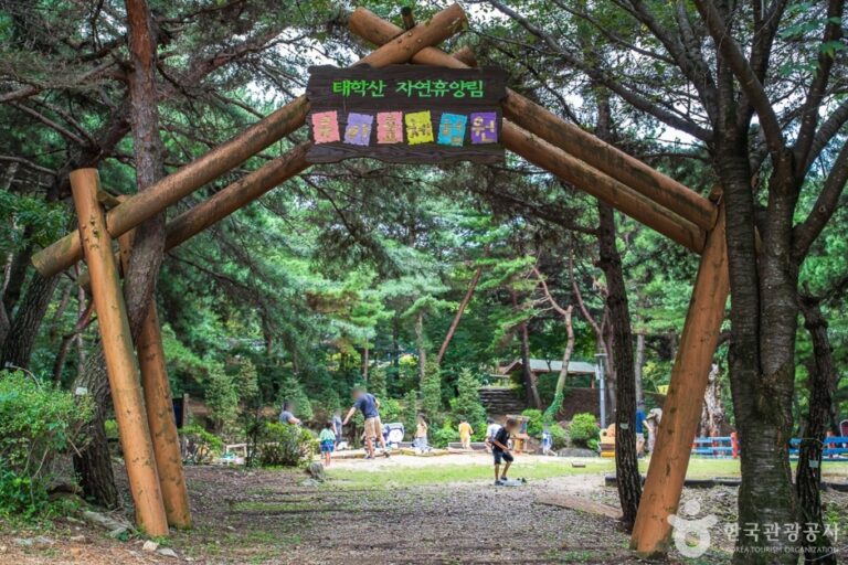 [충남] 태학산 치유의 숲