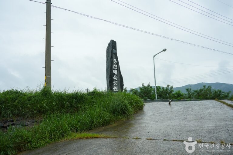 [충남] 웅천체육공원