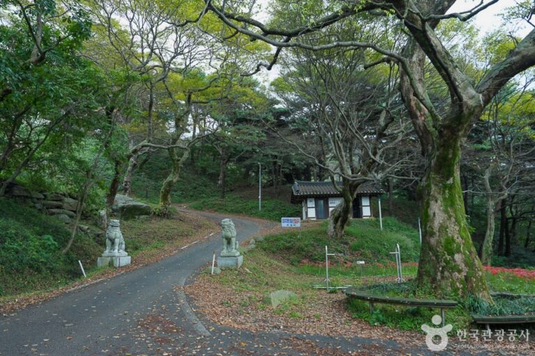 [충남] 도비 마루길