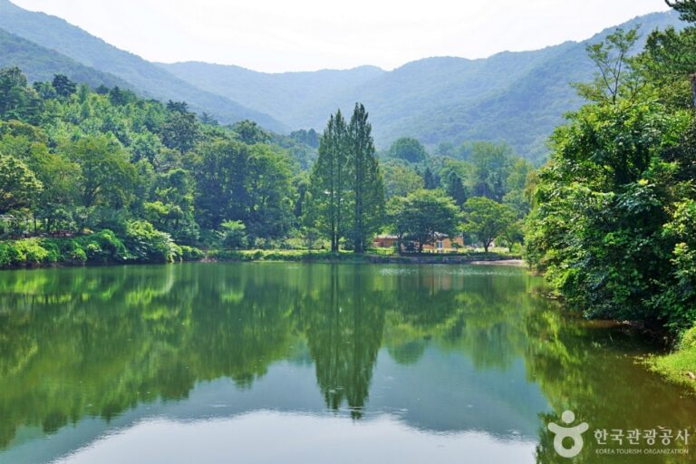 [충남] 불장골 저수지