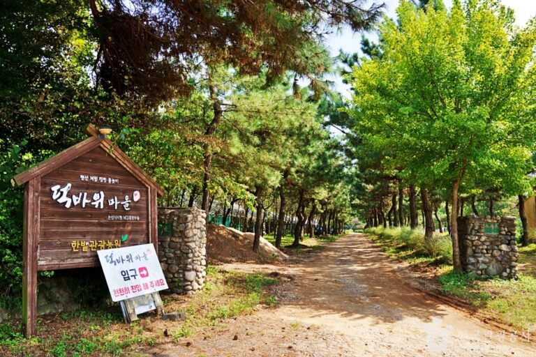 [충남] 덕바위농촌체험휴양마을