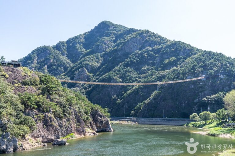 [충남] 월영산 출렁다리