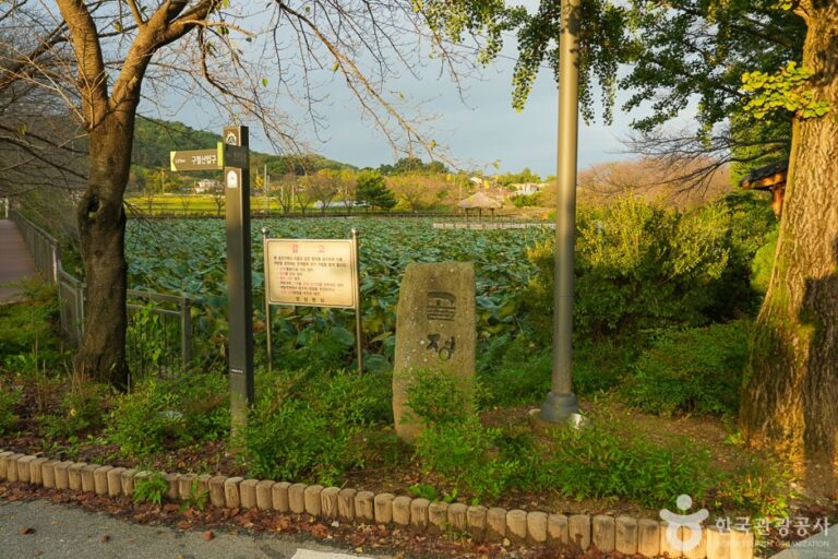 [충남] 골정 저수지