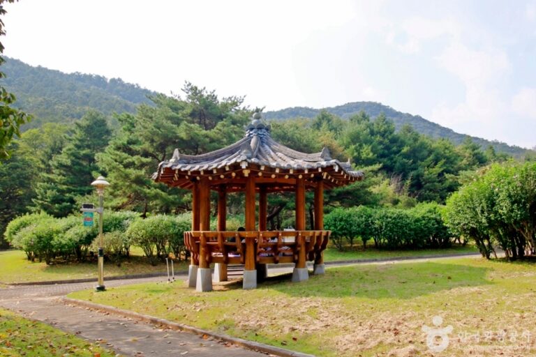 [충남] 무궁화학습원