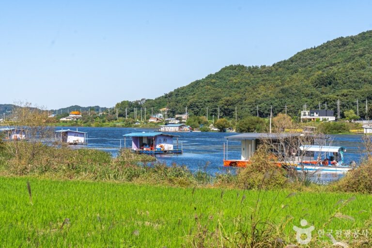 [충남] 성내저수지