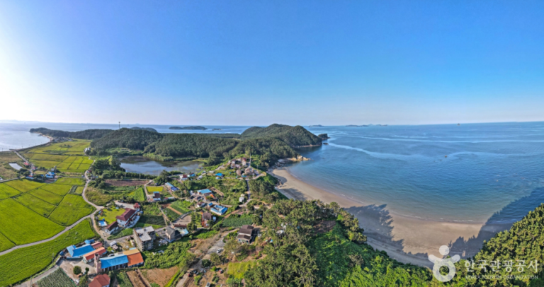 [충남] 같이삽시도