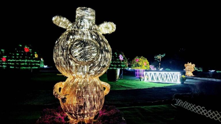 [충남] 네이처월드