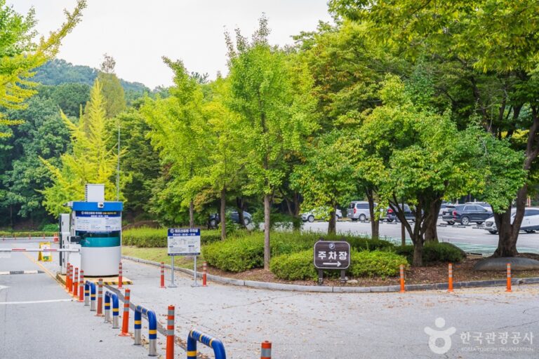 [충남] 태조산 공원