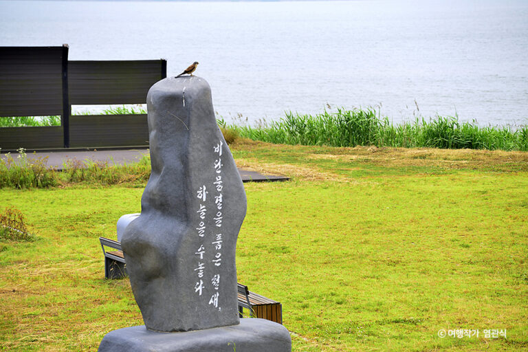 [충남] 금강하구 철새도래지 (서천)